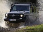 Mercedes-Benz G300 CDI Professional 2010 года
